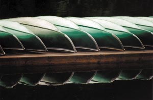 Scenic Second Prize Winner 2001