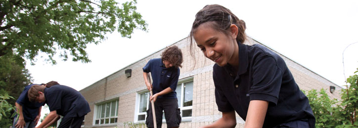 Schools and the Environment