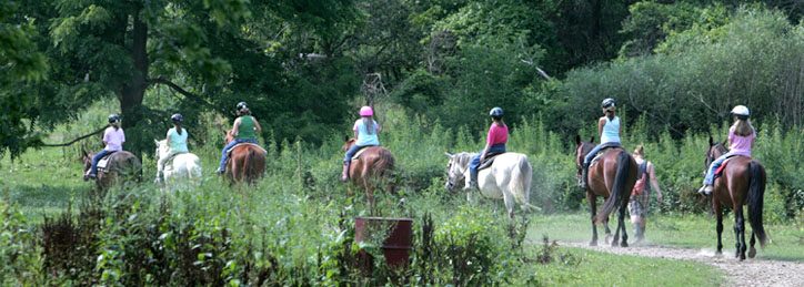 Horseback riding camps