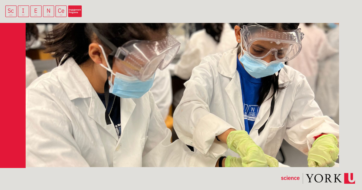 York University; Science Engagement